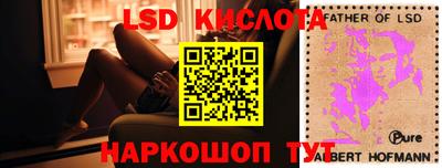 мдпв Гусев